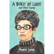 A Burst of Light and Other Essays