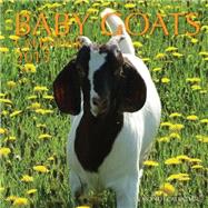Baby Goats 2015 Calendar