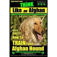 Afghan Hound Training