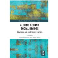 Allying beyond Social Divides