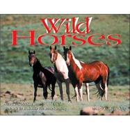 Wild Horses 2005 Calendar