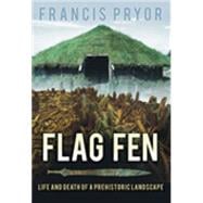 Flag Fen Life and Death of a Prehistoric Landscape