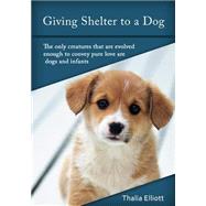Giving Shelter to a Dog