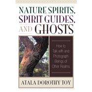 Nature Spirits, Spirit Guides, and Ghosts How to Talk with and Photograph Beings of Other Realms