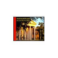 Savannah in 88 Pictures