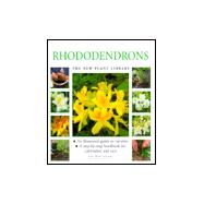Rhododendrons