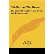 Life Beyond the Grave: The State of the Soul Between Death and Resurrection
