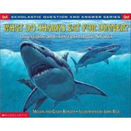 Scholastic Q & A What Do Sharks Eat For Dinner?