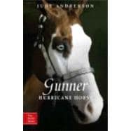 Gunner Hurricane Horse