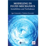 Modeling in Fluid Mechanics