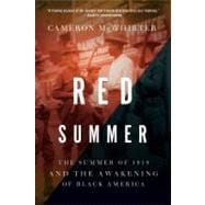 Red Summer The Summer of 1919 and the Awakening of Black America