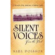 Silent Voices from the Past: A Chronicle of the Almshouse of Sullivan County