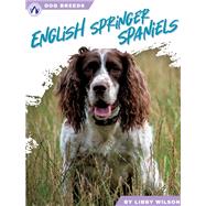 English Springer Spaniels