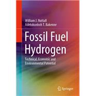 Fossil Fuel Hydrogen