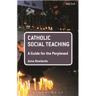 Catholic Social Teaching: A Guide for the Perplexed