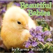 Beautiful Babies A Touch-and-Feel Book