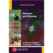 Neurons and Muscles