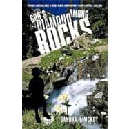 God's Diamond among Rocks : Rewards and Challenges of Single Parent Adoption While Facing a Physical Challenge