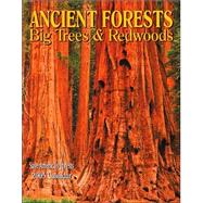 Ancient Forests 2005 Calendar: Big Trees & Redwoods : Save America's Forests