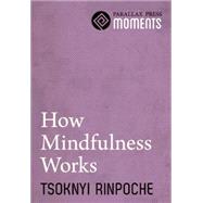 How Mindfulness Works