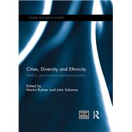 Cities, Diversity and Ethnicity: Politics, Governance and Participation