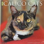 Calico Cats 2020 Calendar