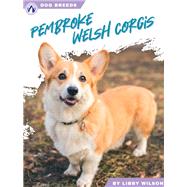 Pembroke Welsh Corgis