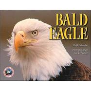 Bald Eagle 2005 Calendar