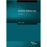 Domestic Violence Law