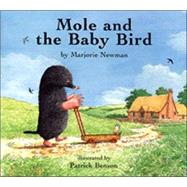 Mole and the Baby Bird