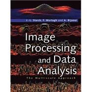 Image Processing and Data Analysis: The Multiscale Approach