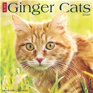 Ginger Cats 2020 Calendar