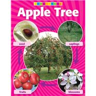 Apple Tree Life Cycle Photo Chart