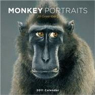 Monkey Portraits 2011 Wall Calendar