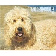 Just Goldendoodles 2010 Calendar