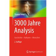 3000 Jahre Analysis