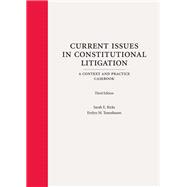 Current Issues in Constitutional Litigation: A Context and Practice Casebook, Third Edition