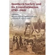 Southern Society and Its Transformations