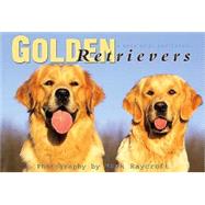 Golden Retrievers : Postcard Book