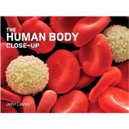 The Human Body Close-Up