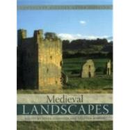 Medieval Landscapes,9781905119189