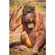 The Goofy Orangutan Journal