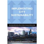 Implementing City Sustainability