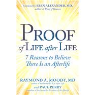 Proof of Life After Life 7 Reasons to Believe There Is an Afterlife