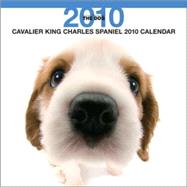Cavalier King Charles Spaniel 2010 Calendar