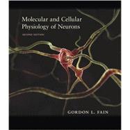 Molecular and Cellular Physiology of Neurons