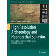 High Resolution Archaeology and Neanderthal Behavior