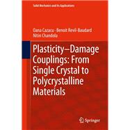 Plasticity-damage Couplings