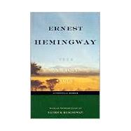 True at First Light : A Fictional Memoir