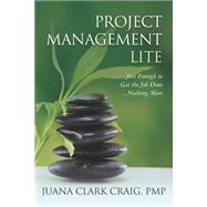 Project Management Lite : Just Enough to Get the Job Done... Nothing More